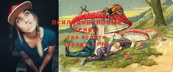 Альфа ПВП Липки