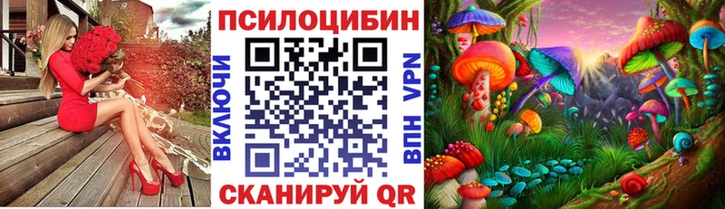 Галлюциногенные грибы Psilocybe  купить наркоту  Аксай 